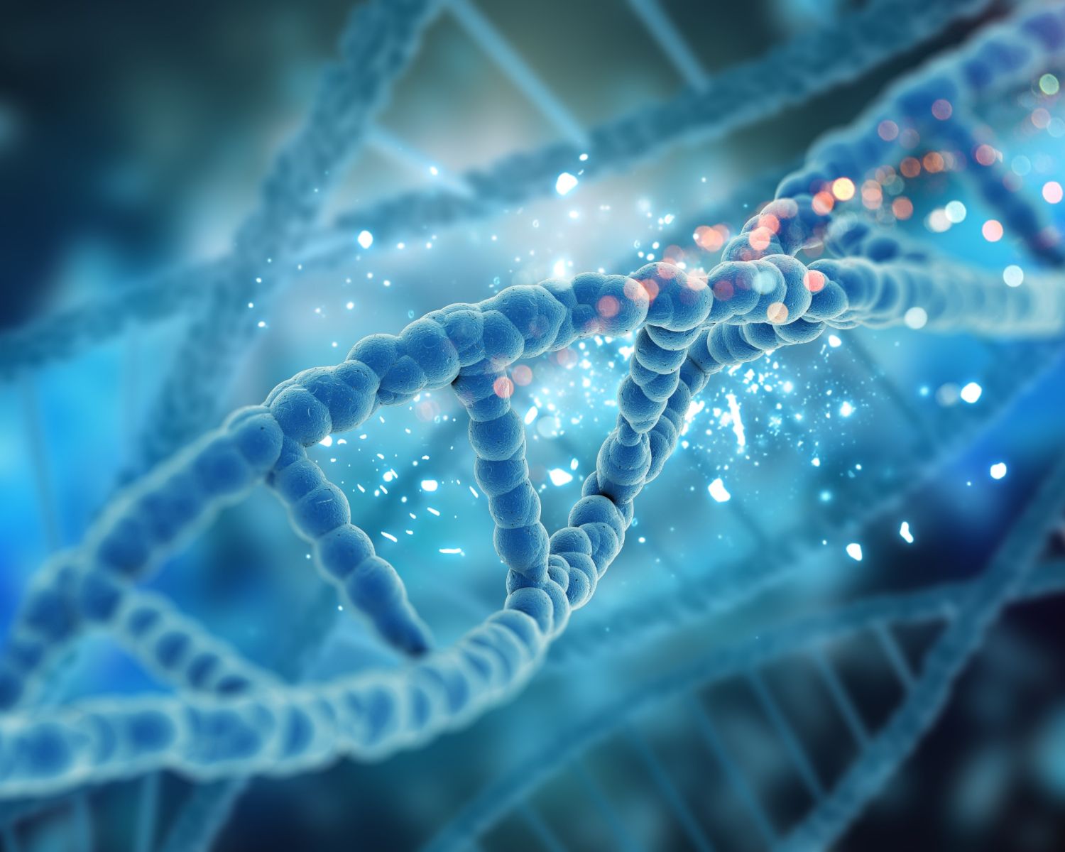 Regenerative & Longevity Medicine