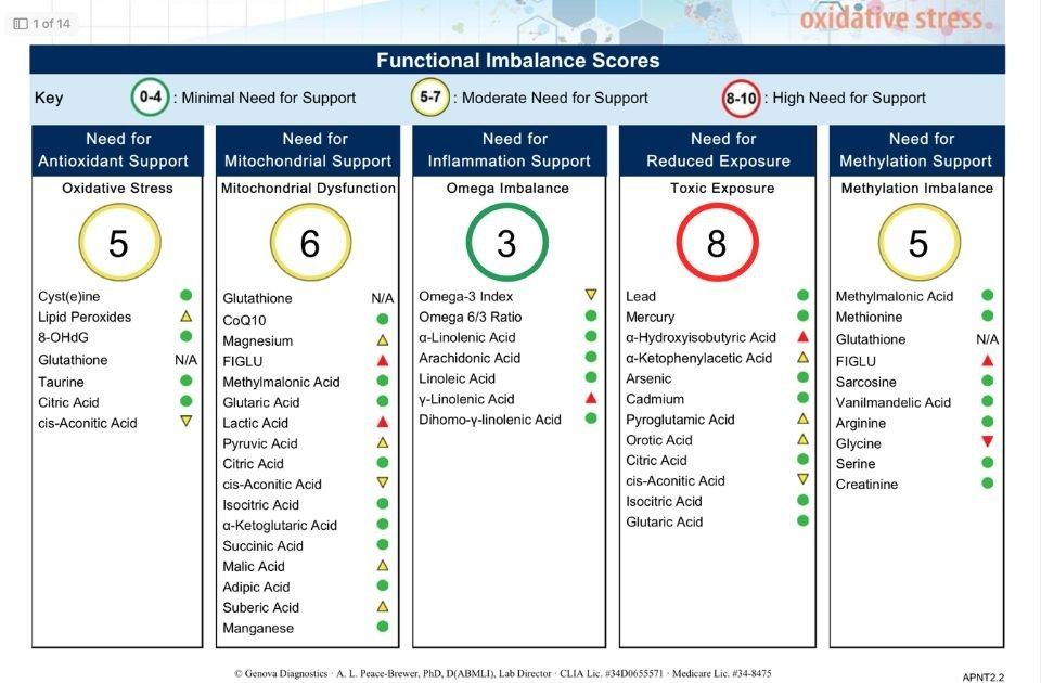 Mitochondrial function, methylation, and toxicity score test results, part of Nourish House Calls' longevity medicine